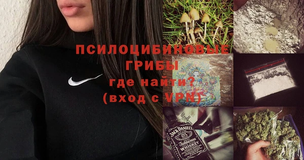 шишки Алексин