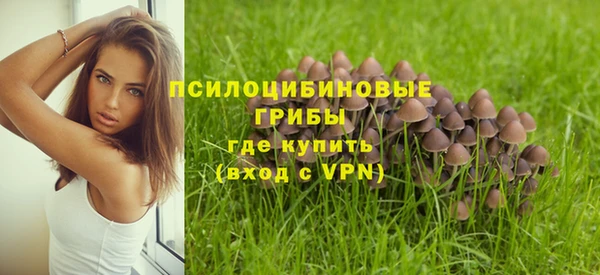 apvp Алзамай