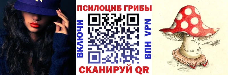 хочу Приволжский Галлюциногенные грибы Psilocybine cubensis